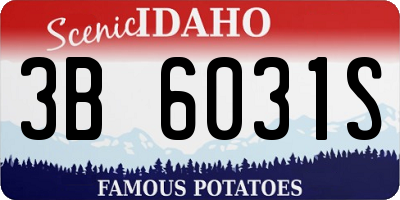 ID license plate 3B6031S