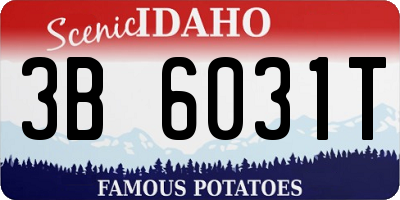 ID license plate 3B6031T