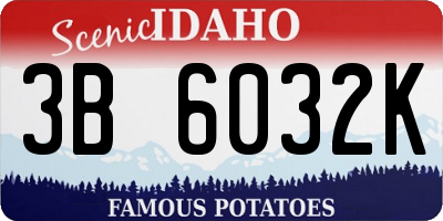 ID license plate 3B6032K