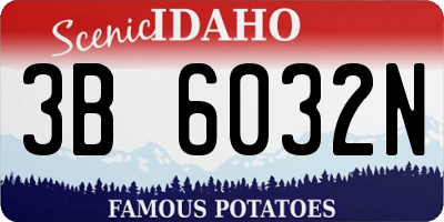 ID license plate 3B6032N
