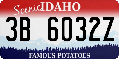 ID license plate 3B6032Z