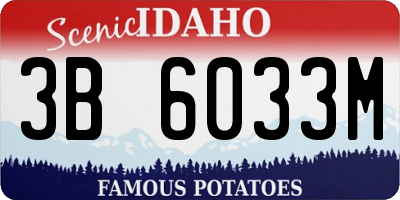 ID license plate 3B6033M
