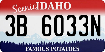 ID license plate 3B6033N
