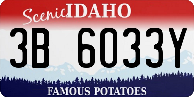 ID license plate 3B6033Y