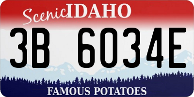 ID license plate 3B6034E