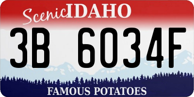 ID license plate 3B6034F