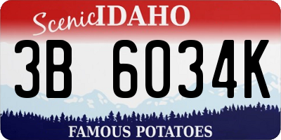 ID license plate 3B6034K