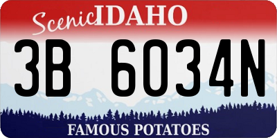 ID license plate 3B6034N