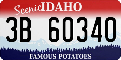 ID license plate 3B6034O