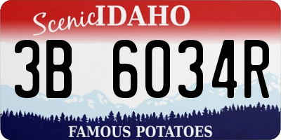 ID license plate 3B6034R