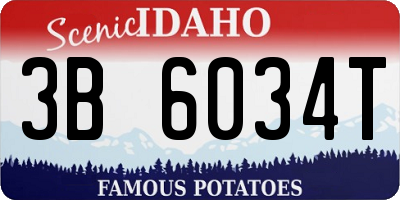 ID license plate 3B6034T