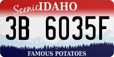 ID license plate 3B6035F