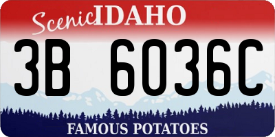 ID license plate 3B6036C