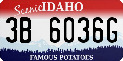 ID license plate 3B6036G