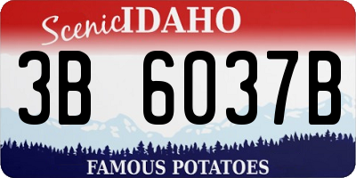 ID license plate 3B6037B