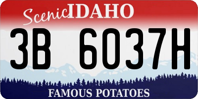 ID license plate 3B6037H
