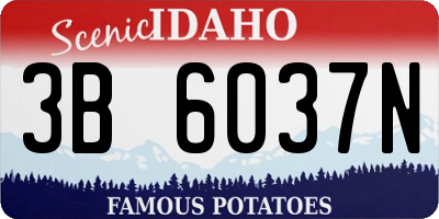 ID license plate 3B6037N