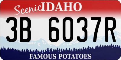 ID license plate 3B6037R