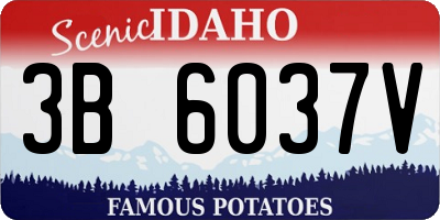 ID license plate 3B6037V