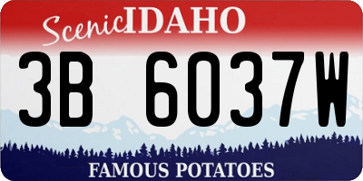 ID license plate 3B6037W