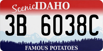 ID license plate 3B6038C
