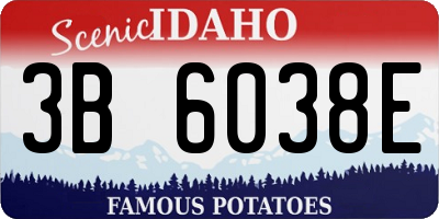 ID license plate 3B6038E
