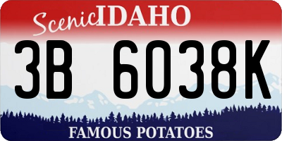 ID license plate 3B6038K