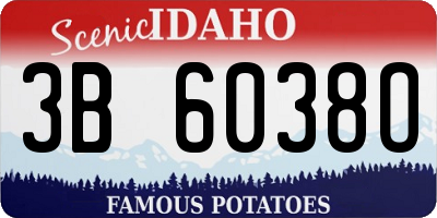 ID license plate 3B6038O