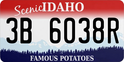 ID license plate 3B6038R