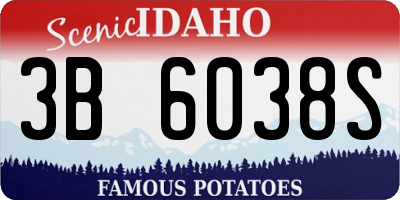 ID license plate 3B6038S