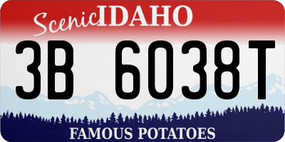 ID license plate 3B6038T