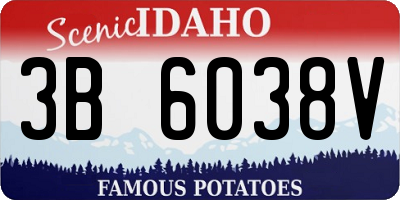 ID license plate 3B6038V