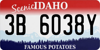 ID license plate 3B6038Y
