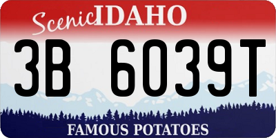 ID license plate 3B6039T