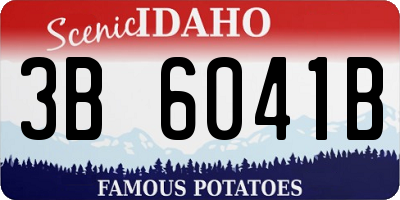 ID license plate 3B6041B