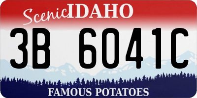 ID license plate 3B6041C