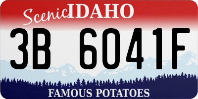 ID license plate 3B6041F