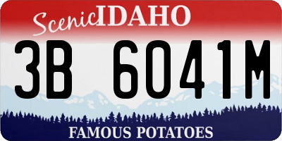 ID license plate 3B6041M