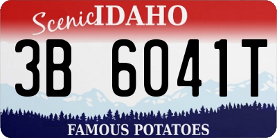 ID license plate 3B6041T