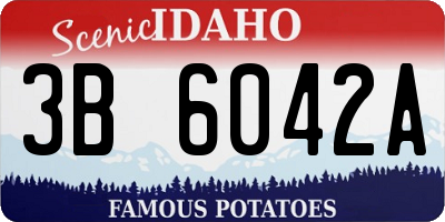 ID license plate 3B6042A