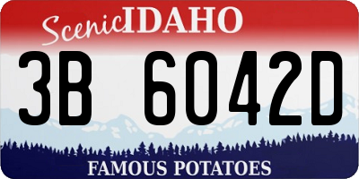 ID license plate 3B6042D