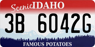 ID license plate 3B6042G