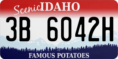 ID license plate 3B6042H