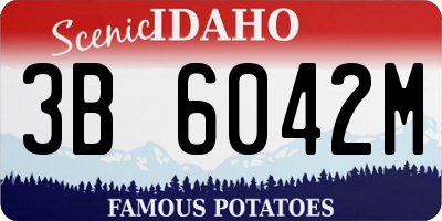 ID license plate 3B6042M