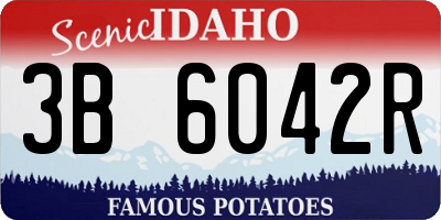 ID license plate 3B6042R