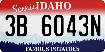ID license plate 3B6043N