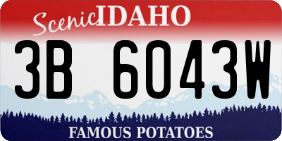 ID license plate 3B6043W