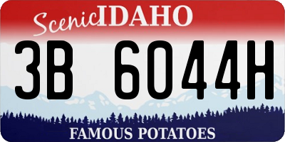 ID license plate 3B6044H