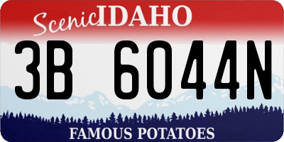 ID license plate 3B6044N