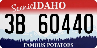 ID license plate 3B6044O
